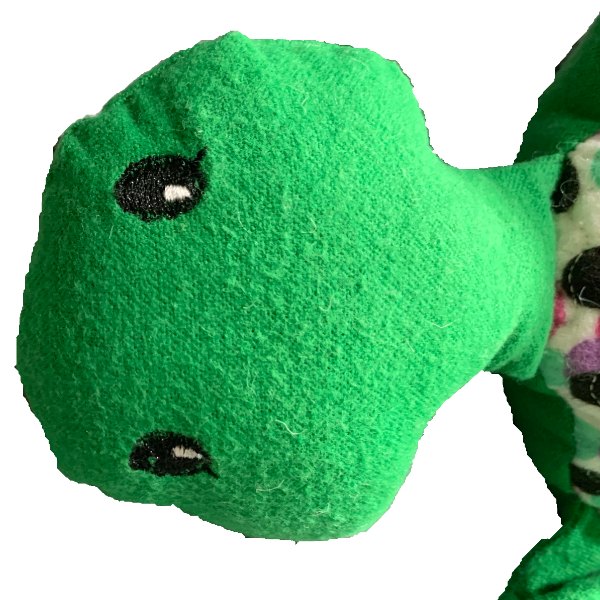 Green-Polka Dot Turtle