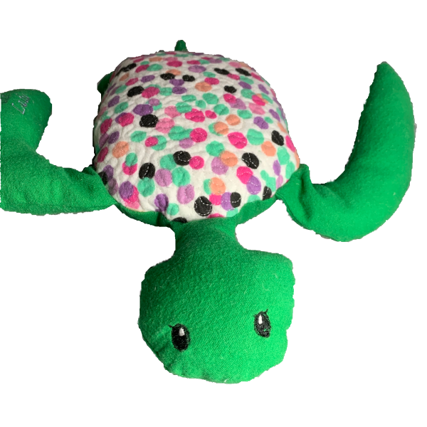 Green-Polka Dot Turtle3